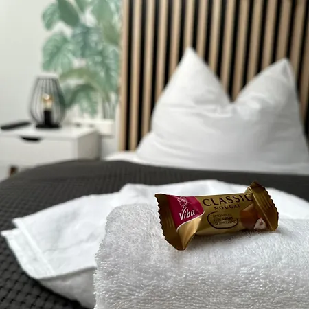 Oasis Appart - Gemutlich Im Elbland - Netflix - Balkon - Tg Apartament Freital